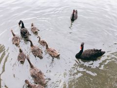 -五缘湾湿地公园