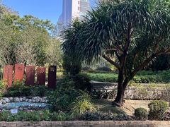 -九龙公园