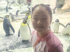 -大连圣亚海洋世界