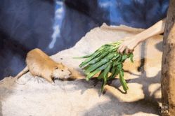 -酷嗒动物文化乐园(cutezoo西溪乐天城店)