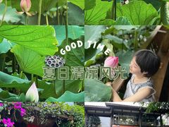 -莫催咖啡