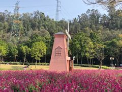 -顺峰山公园