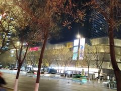 -沈阳百联购物中心(青年大街店)