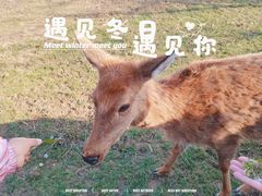 -良渚古城遗址公园