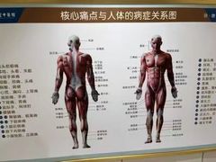 -通透堂中医·精准推拿(旗舰店)