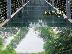 -川西竹海景区