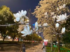 -人民广场