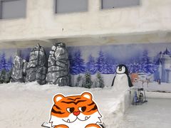 -赤马湖体育滑雪