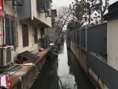 -沈记青团