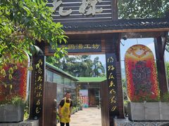-先机泉水鸡汤(南山老君洞店)