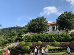 -深圳仙湖植物园-停车场