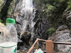 -花岩国家森林公园