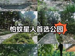 -成都市活水公园