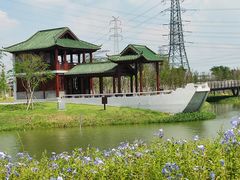 -王借岗森林公园