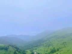 -大姆山草场