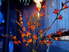 -CIAO·团建聚餐·生日派对轰趴馆(福田店)