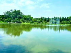 -福建鲤鱼洲酒店