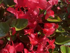 -长春公园(普阳街道)