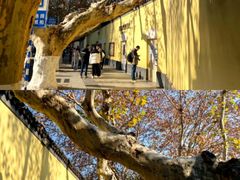 -南京中国近代史遗址博物馆(南京总统府)