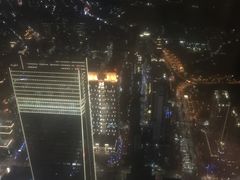 -顶鲜101美食美景餐厅
