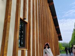 -黄海国家森林公园