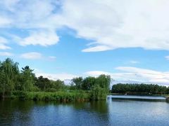 -大兴滨河森林公园