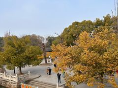 -西园戒幢律寺