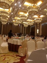 -天泰一站式婚宴·宴会厅