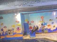 -太平洋海底世界