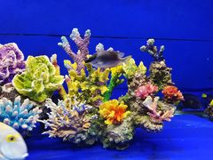 -海合安成都极地海洋公园
