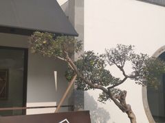 -金谷里艺术馆