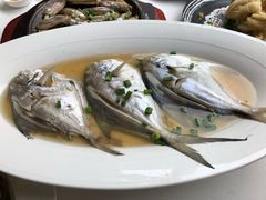 清蒸小鲳鱼-高佳庄·舟山海鲜(海景旗舰店)