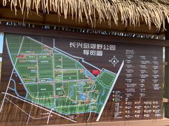 -上海长兴岛郊野公园