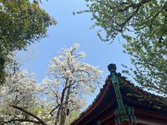 -宣武艺园