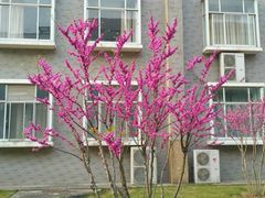 -河海大学(江宁校区)