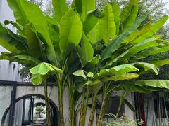 -观唐（国际）度假村温泉