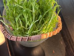 -辣伍鲜毛肚老火锅(元一店)