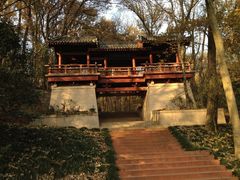-紫霞湖公园