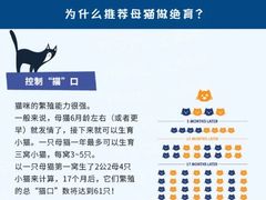 -芭比堂宠物医院·全科爱猫医院·仁德分院