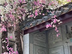 -深圳国际园林花卉博览园