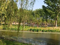 -东郊湿地公园