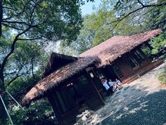 -中国茶叶博物馆(双峰馆区)