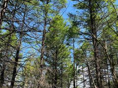 -白草畔自然风景区