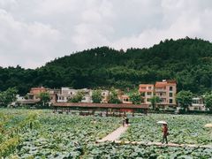 -红山村