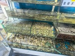 -仙螺岛海鲜自助餐厅(总店)