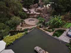 -厦门园林植物园-植物园滴水山房