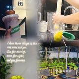 南宁｜我的手打香菜柠檬➕马德琳🐻