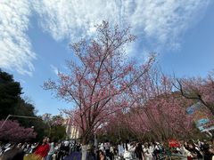 -阿哈湖国家湿地公园
