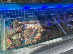 -春华海鲜城(广场西苑店)