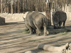 -北京野生动物园